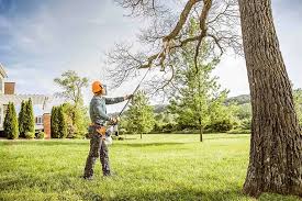 Best Tree Health Inspection  in Fort Llins, CO