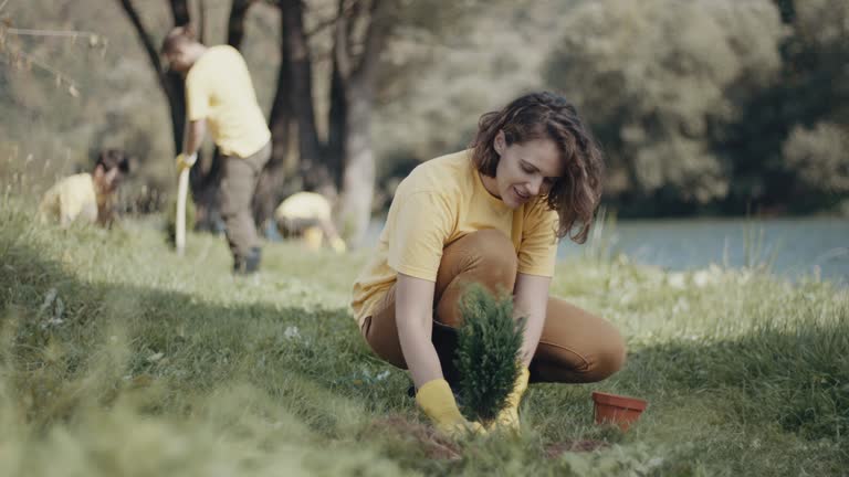 Best Lawn Mowing  in Fort Llins, CO